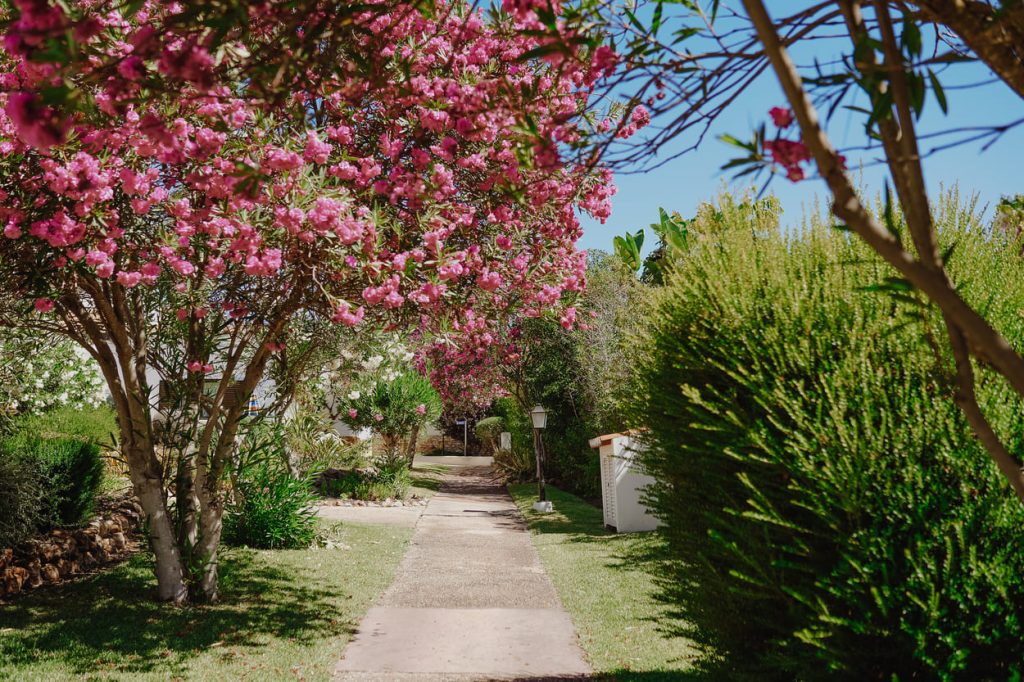 Rocha Brava Resort - Jardins do resort