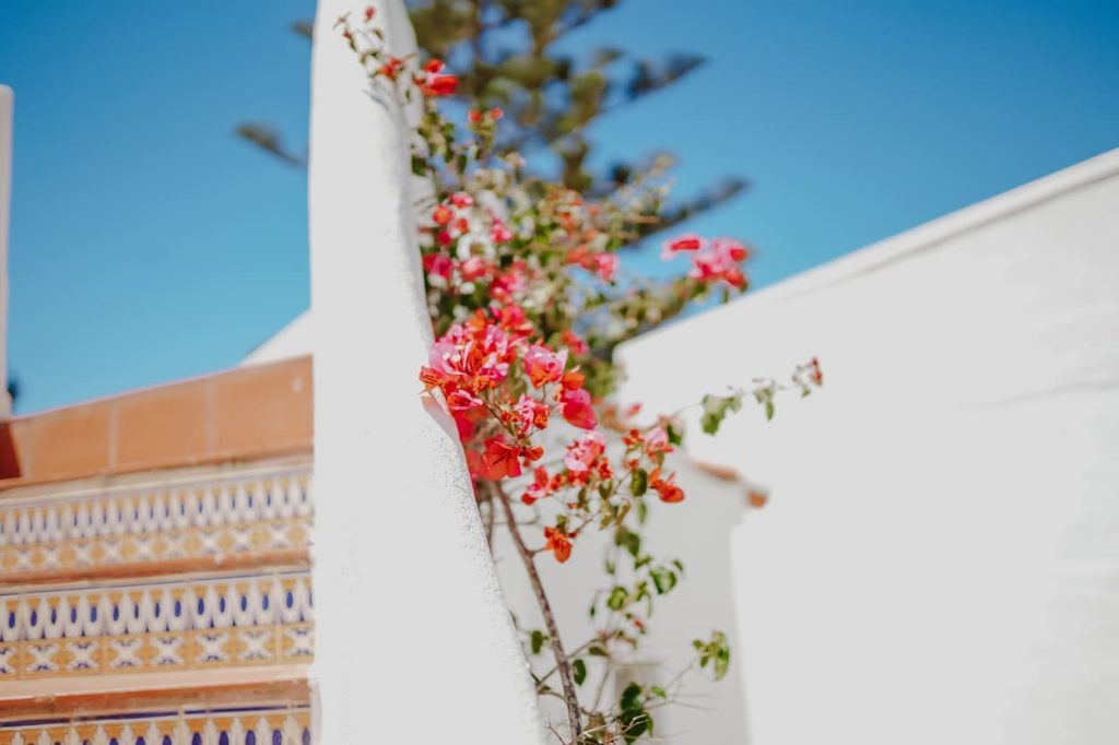 Rocha Brava Resort - Ambiente