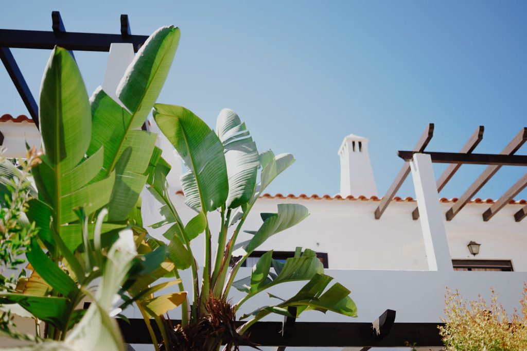 Rocha Brava Resort - Detalhes