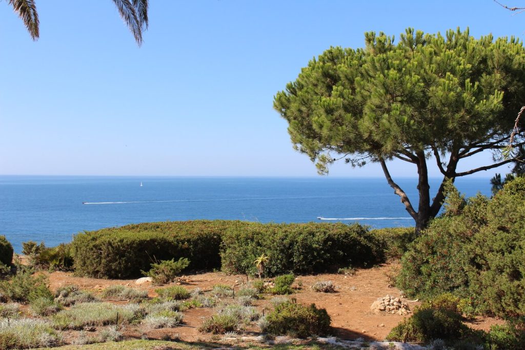 Vila Oleandro Mar - Vusta mar